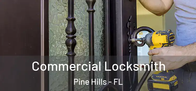 Commercial Locksmith Pine Hills - FL