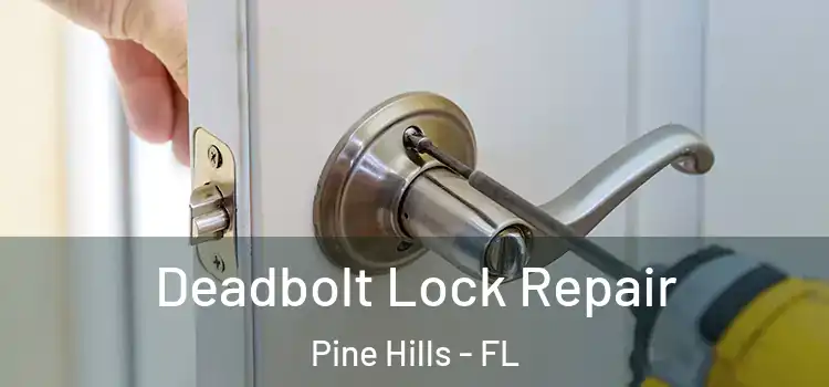 Deadbolt Lock Repair Pine Hills - FL