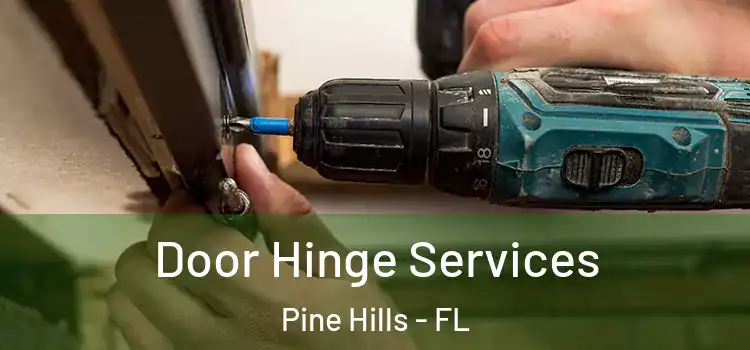 Door Hinge Services Pine Hills - FL