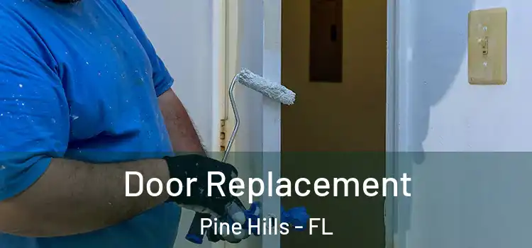 Door Replacement Pine Hills - FL