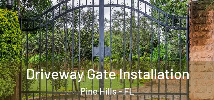 Driveway Gate Installation Pine Hills - FL