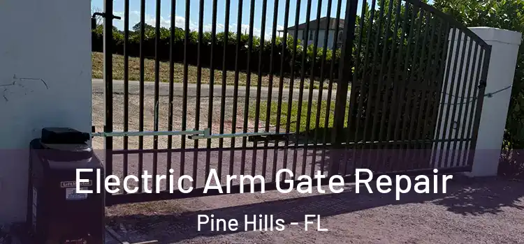 Electric Arm Gate Repair Pine Hills - FL