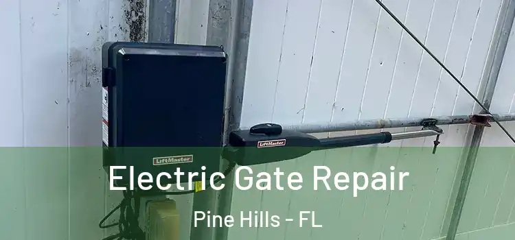Electric Gate Repair Pine Hills - FL
