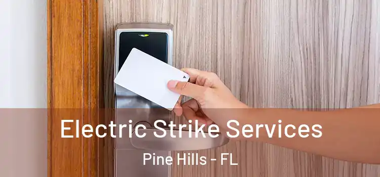 Electric Strike Services Pine Hills - FL