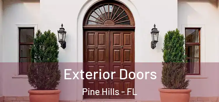 Exterior Doors Pine Hills - FL