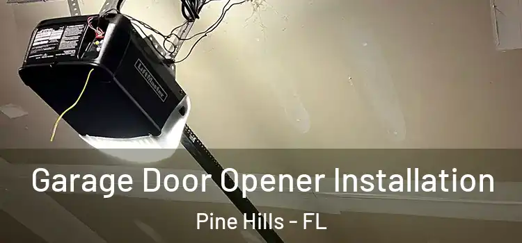  Garage Door Opener Installation Pine Hills - FL