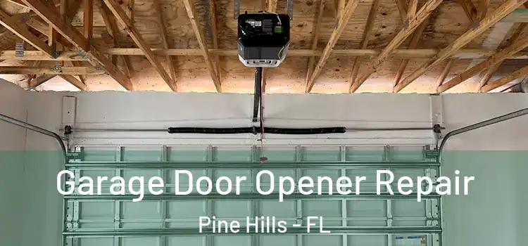  Garage Door Opener Repair Pine Hills - FL