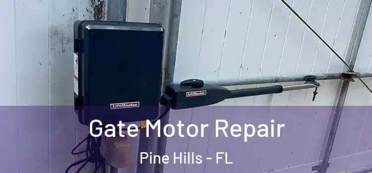 Gate Motor Repair Pine Hills - FL