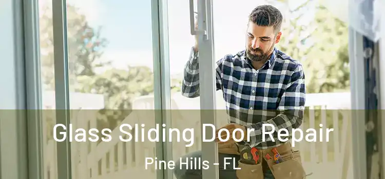 Glass Sliding Door Repair Pine Hills - FL