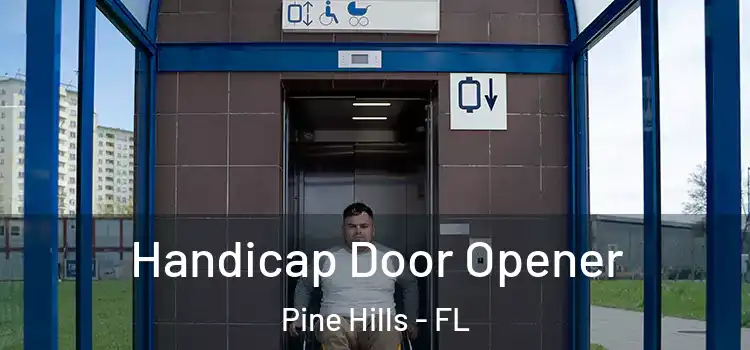 Handicap Door Opener Pine Hills - FL