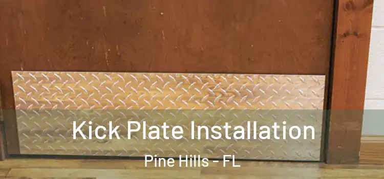 Kick Plate Installation Pine Hills - FL