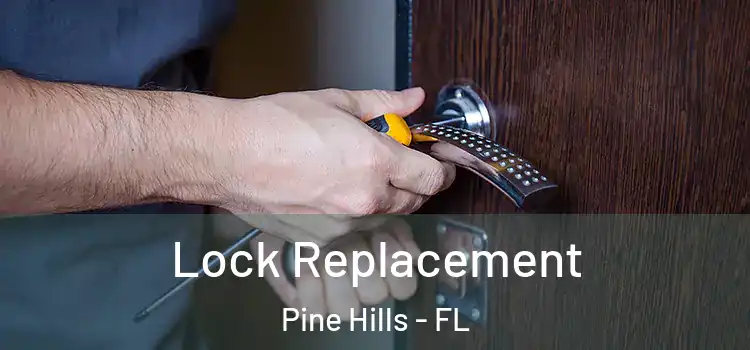 Lock Replacement Pine Hills - FL