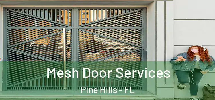Mesh Door Services Pine Hills - FL