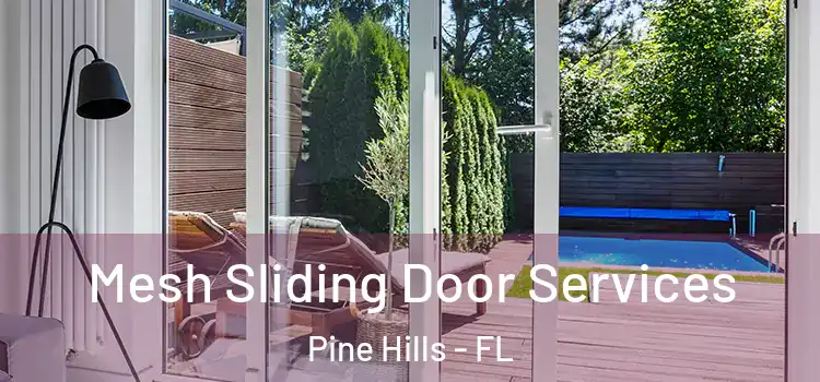 Mesh Sliding Door Services Pine Hills - FL