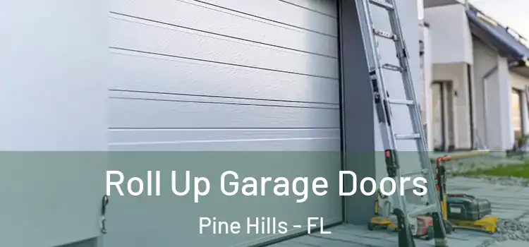  Roll Up Garage Doors Pine Hills - FL