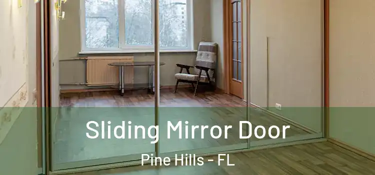  Sliding Mirror Door Pine Hills - FL
