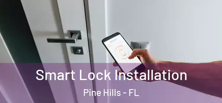Smart Lock Installation Pine Hills - FL