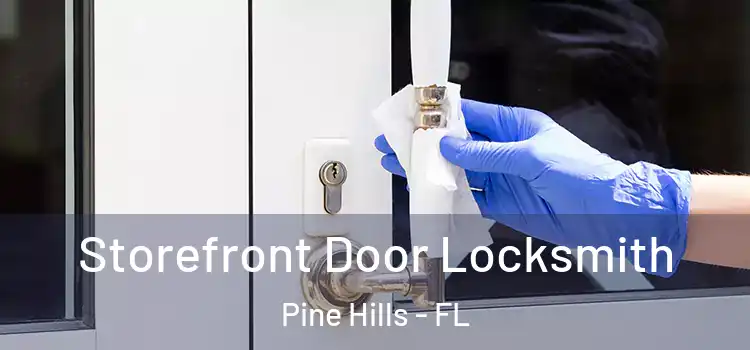 Storefront Door Locksmith Pine Hills - FL