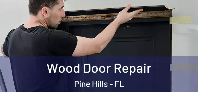 Wood Door Repair Pine Hills - FL