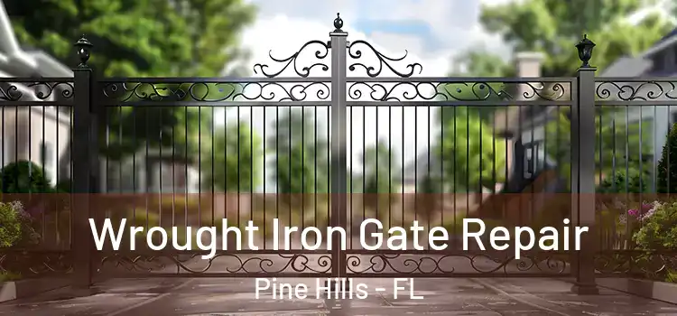 Wrought Iron Gate Repair Pine Hills - FL